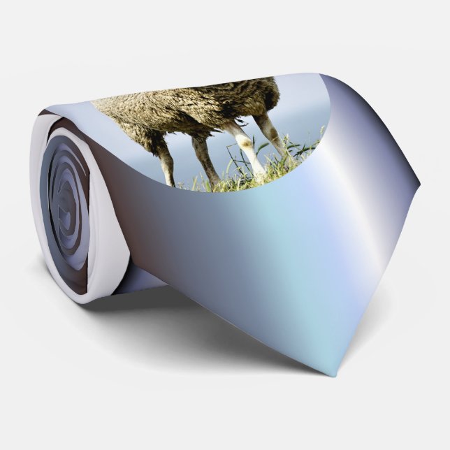 Gravata Lobo no Vestuário (Rolled)