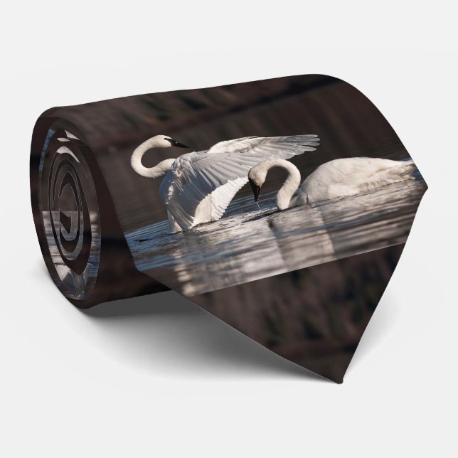 Gravata Loving Swans (Rolled)