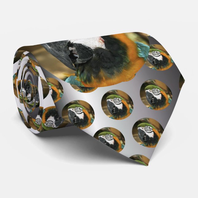 Gravata Macaw azul e amarelo de Amazon (Rolled)