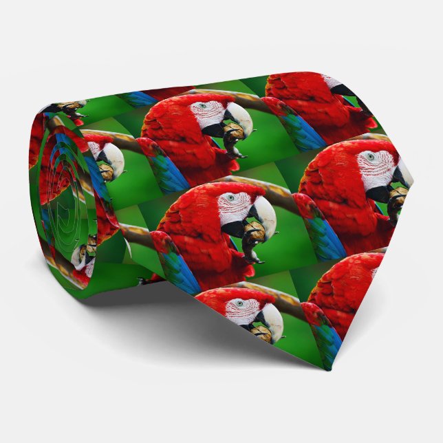 Gravata Macaw vermelho e verde (Rolled)