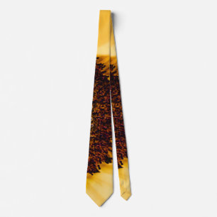 Gravata Macro Fotografia de girassol