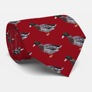 Gravata Mallard