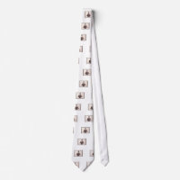 Mancha de tinta 6,0 de Rorschach