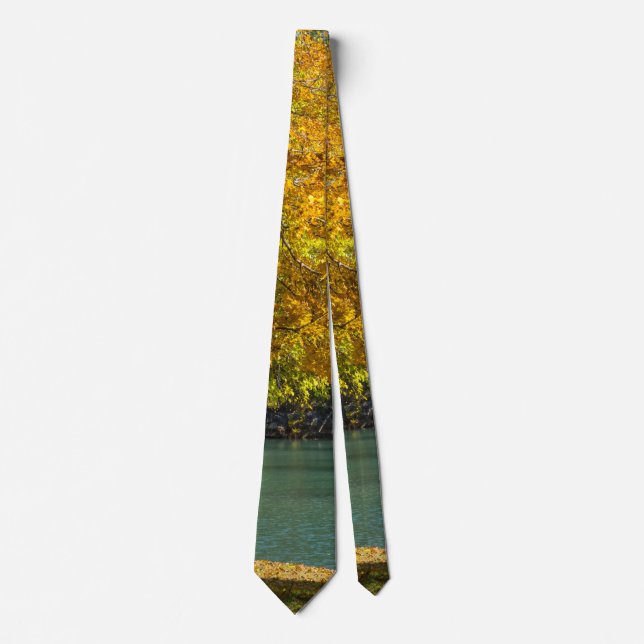Gravata Maple Umbrella Sobre Dogwood Creek Neck Tie (Frente)