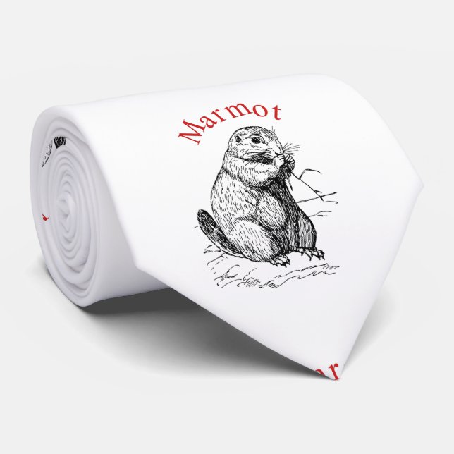 Gravata Marmot Marmot Thunder_Cove (Rolled)