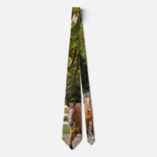 Gravata masculina Quarter Horse