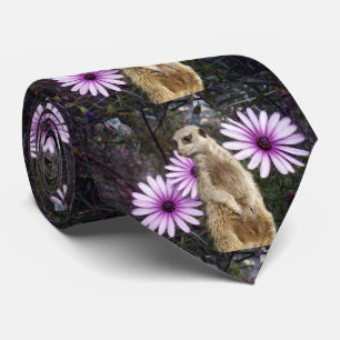 Gravata Meerkat E Daises,