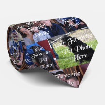 Minhas Fotos Minha Vida