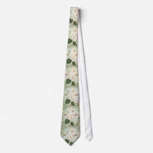 Gravata Modern Vintage - Aves Humm Francesas