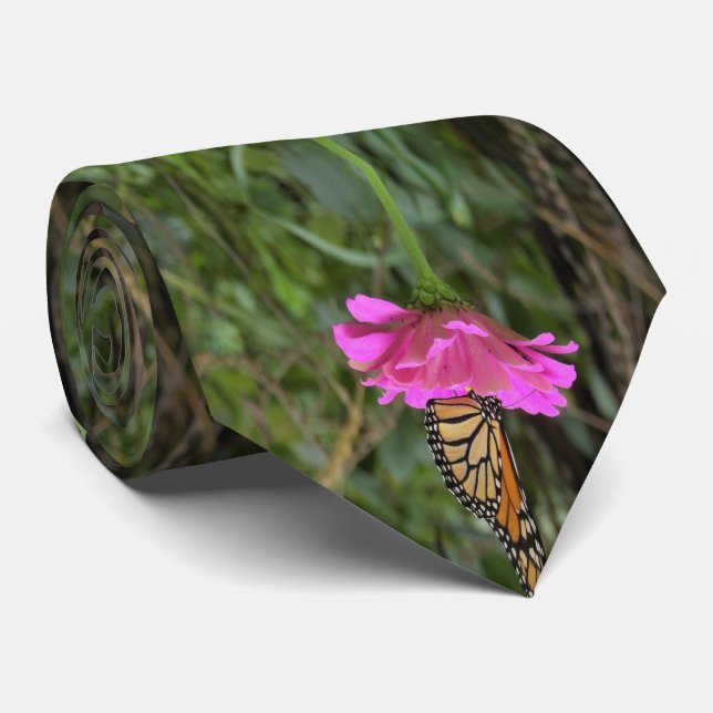 Gravata Monarch Butterfly on a Pretty Pink Zinnia Flower (Rolled)