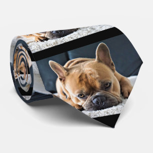 Gravata Muito divertido Querky Cute Bulldog Tie
