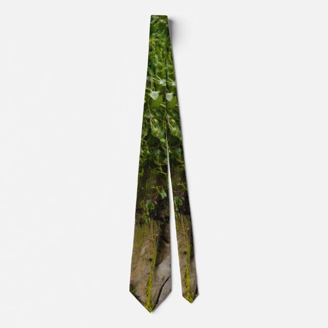 Gravata Muro De Ivy Neck Tie (Frente)