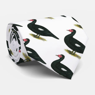 Gravata Muscovy Drake preto