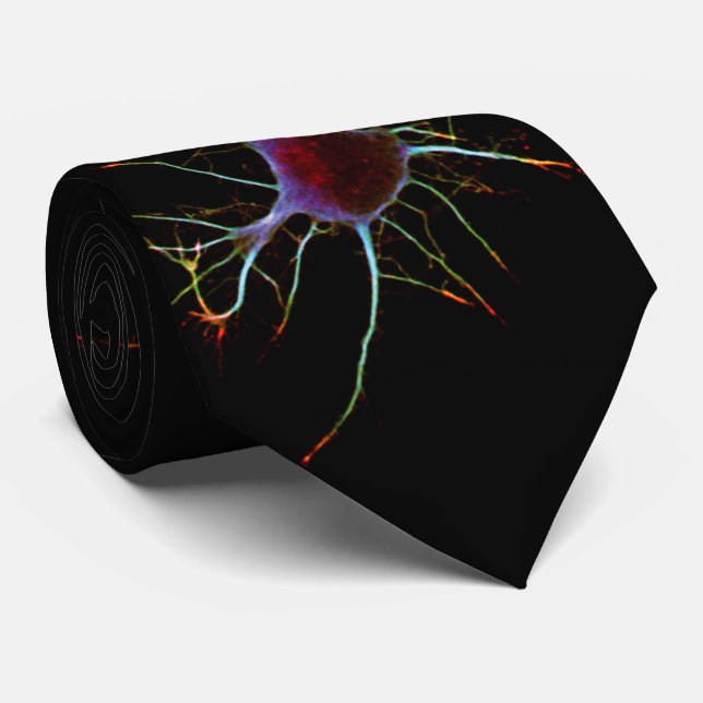 Gravata Neuroscience, neuron , science (Rolled)