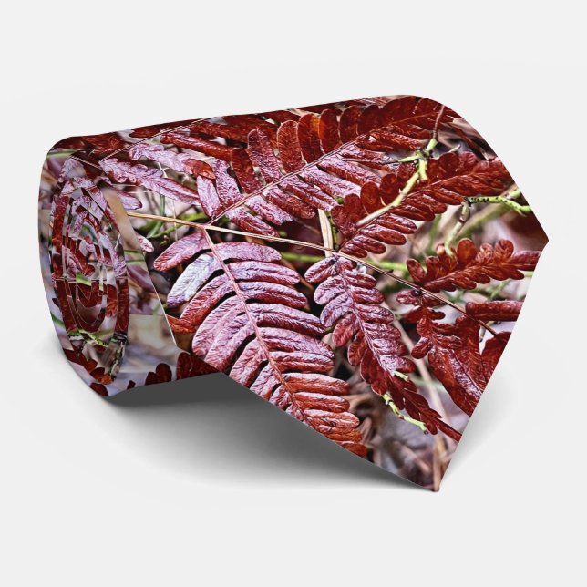 Gravata no pescoço / samambaia vermelha (Rolled)