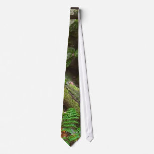 Gravata No Woods Tie