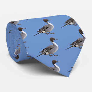 Gravata Norte Pintail