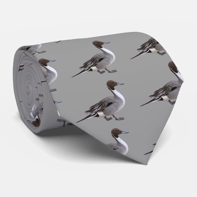 Gravata Northern Pintail (Rolled)