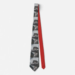 Gravata O laço do divertimento de David