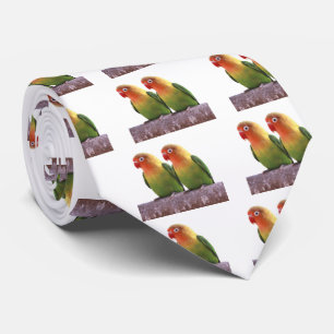 Gravata "O Pássaro de Fischer"の 優 良 製 品