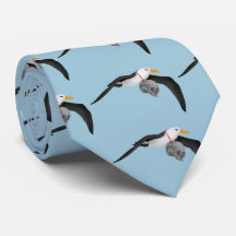 O Rimo do Antigo Mariner Albatross Crânio