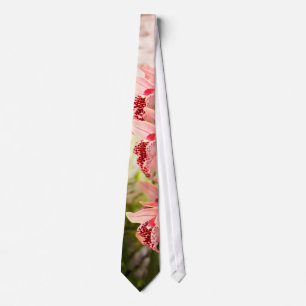 Gravata Orquídea - Cymbidium - trinket do hainsworth x de