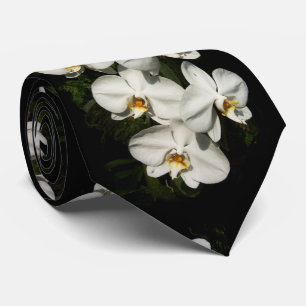 Gravata Orquídeas brancas do phalaenopsis