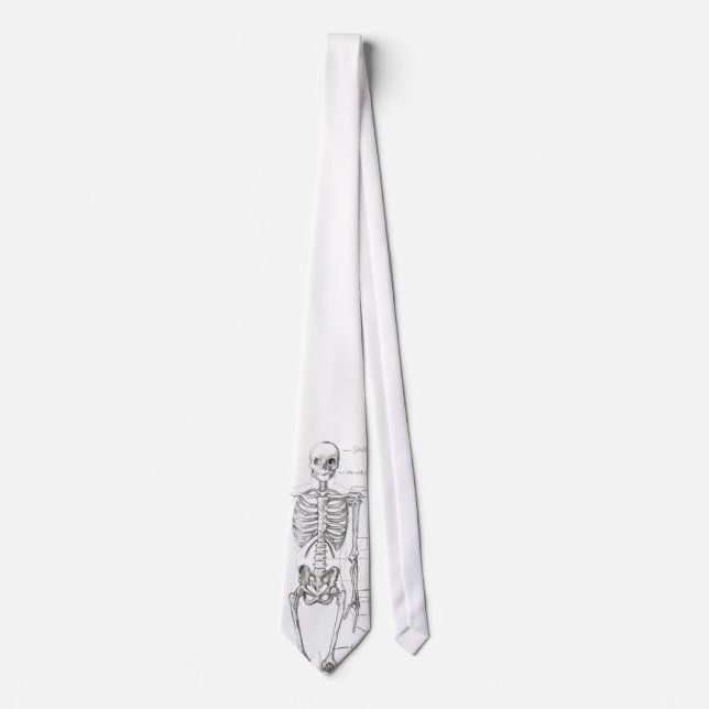 Gravata Ossos… (Frente)