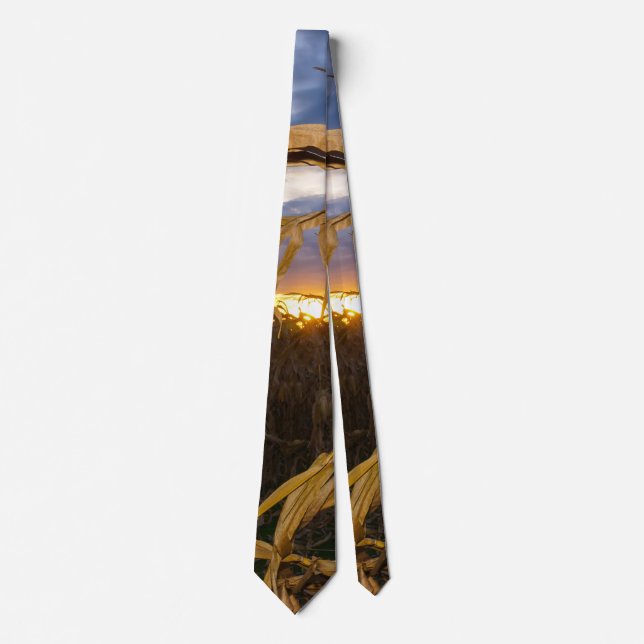 Gravata Ozarks Harvest Neck Tie (Frente)