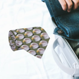 Gravata Padrão de Cabeça de Águia Balda Americana