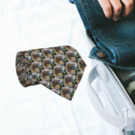 Gravata Padrão de Foto Hawk de cauda vermelha