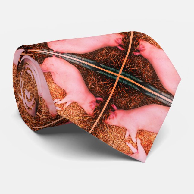 Gravata Padrão de Leitões Cor-de-Rosa (Rolled)