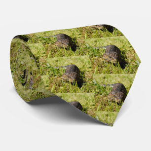 Gravata Padrão de Lizard de Estumpia de Língua Azul Austra