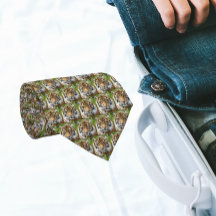 Padrão de Tigre Gato Grande