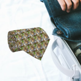 Gravata Padrão de Tigre Gato Grande