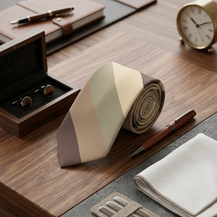 Gravata Paleta de Cores Vintage 