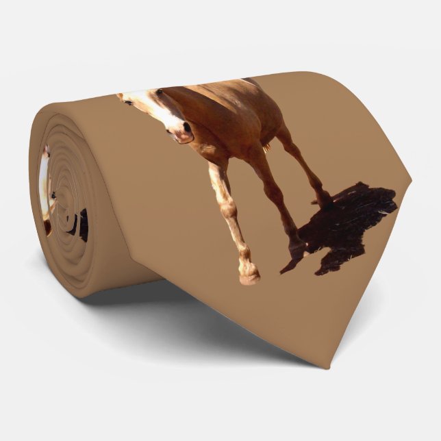 Gravata Palomino Horse Saudação, (Rolled)