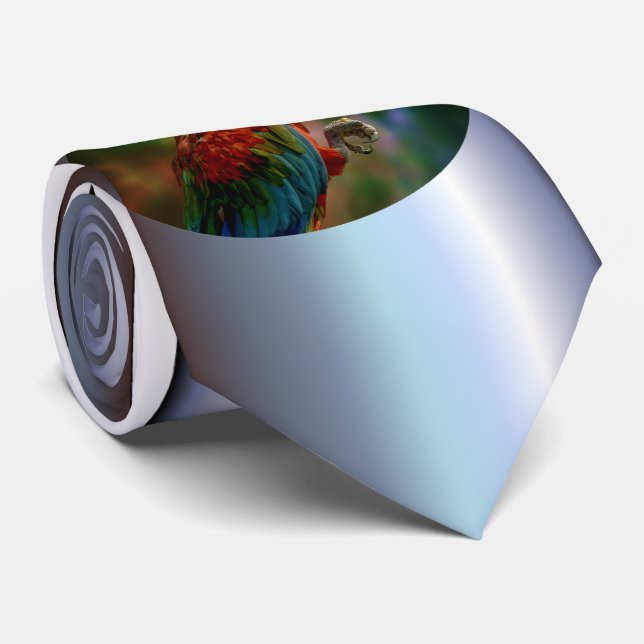 Gravata Papagaio Colorido (Rolled)