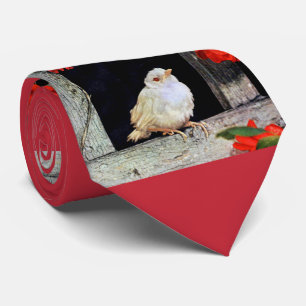 Gravata Pássaro RARE albino robin