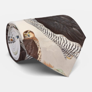 Gravata Pássaros de John Gould do Goshawk de animais