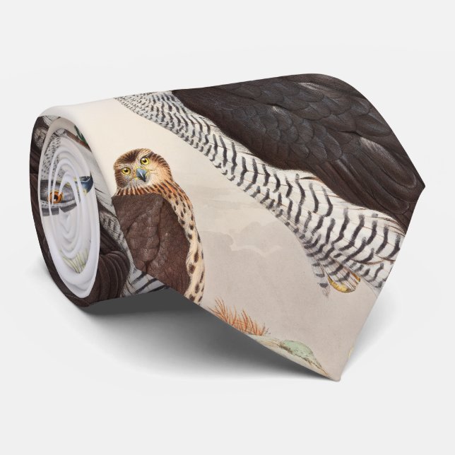 Gravata Pássaros de John Gould do Goshawk de animais (Rolled)