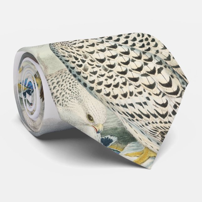 Gravata Pássaros escuros adultos do falcão de Greenland de (Rolled)