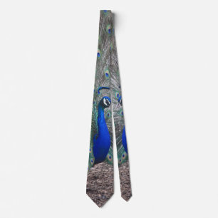 GRAVATA PEACOCK PHOTO NECK TIE
