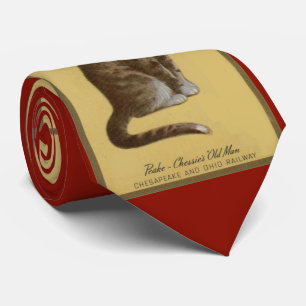 Gravata Peake, o Velho Homem de Chessie tomcat