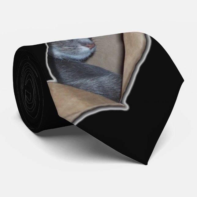 Gravata Peekaboo que eu ver para mew (Rolled)