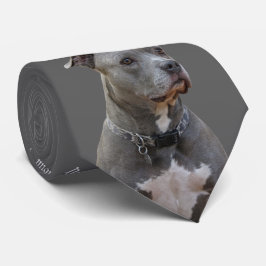 Gravata Pensando no Gravador Pitbull