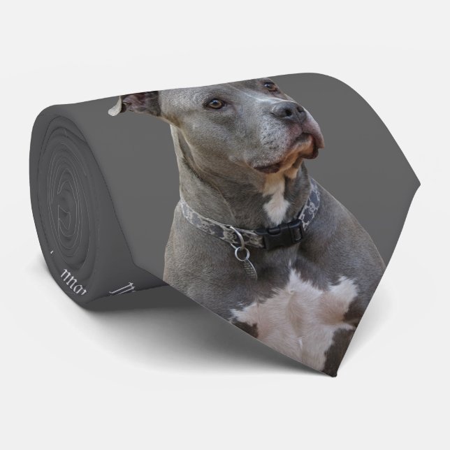 Gravata Pensando no Gravador Pitbull (Rolled)