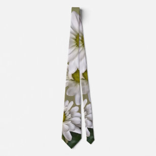 Gravata Pequena Daisy Olhando