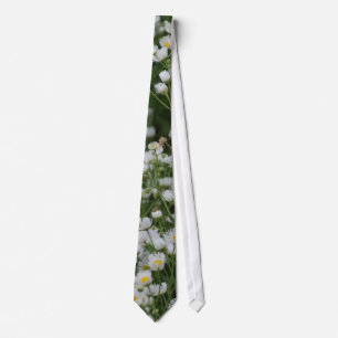 Gravata Pequenas flores de Daisy Aster brancas e amarelas