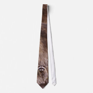 Gravata Pescoço de Arte Fluffy Raccoon